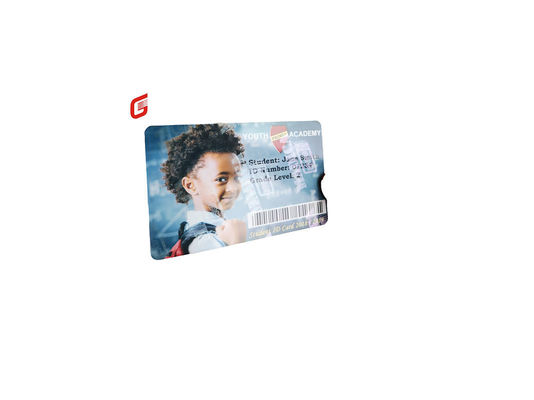 Zebra ZC300/ZC100 Pearlescent Silver Ribbon 800300-562 for Anti-Counterfeit Protection