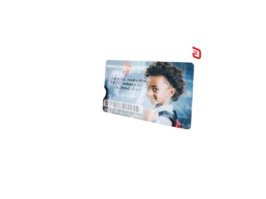 Zebra ZC300/ZC100 Pearlescent Silver Ribbon 800300-562 for Anti-Counterfeit Protection